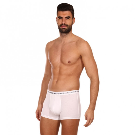 3PACK Boxershorts för herrar Tommy Hilfiger vit (UM0UM02203 0VL)