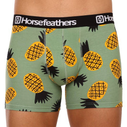 Boxershorts för herrar Horsefeathers Sidney Pineapple (AM164G)