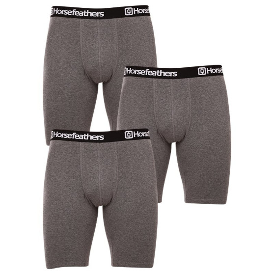 3PACK boxershorts för herrar Horsefeathers Dynasty lång (AM195B)