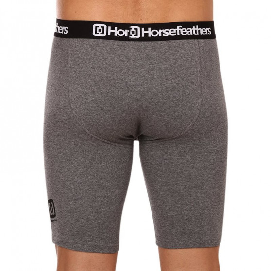 3PACK boxershorts för herrar Horsefeathers Dynasty lång (AM195B)