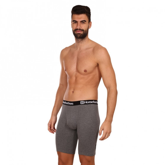 3PACK boxershorts för herrar Horsefeathers Dynasty lång (AM195B)