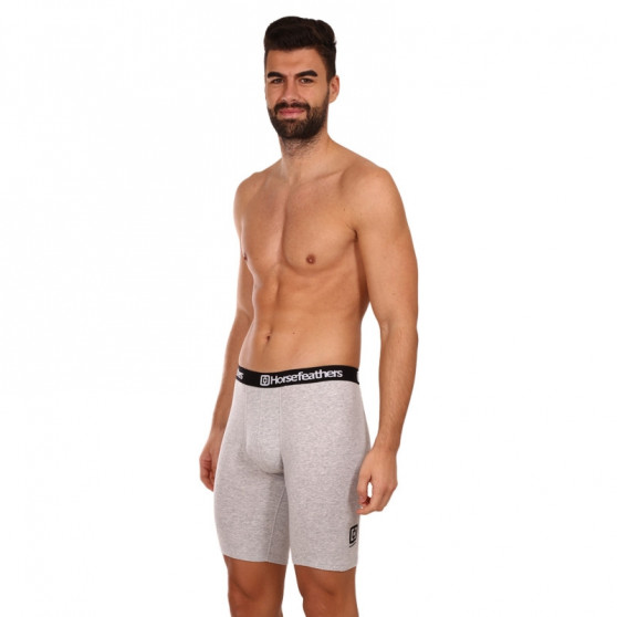 3PACK boxershorts för herrar Horsefeathers Dynasty lång (AM195C)