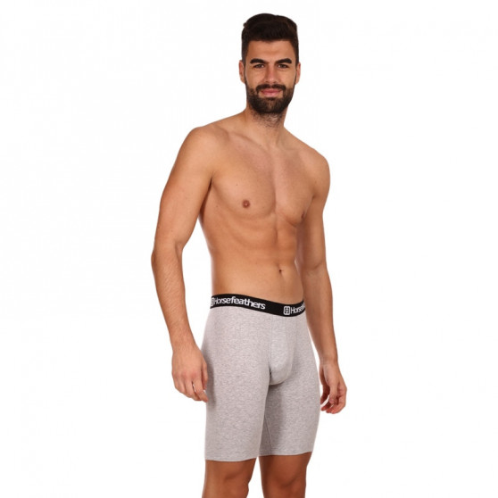 3PACK boxershorts för herrar Horsefeathers Dynasty lång (AM195C)