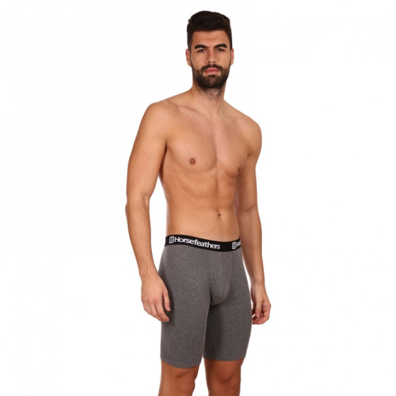 3PACK boxershorts för herrar Horsefeathers Dynasty lång (AM195D)