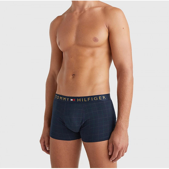 Set för män Tommy Hilfiger boxershorts och strumpor i en presentförpackning (UM0UM01996 0UI)