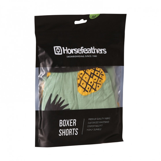 Boxershorts för herrar Horsefeathers Frazier ananas (AM166D)