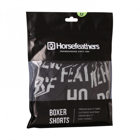 Shorts för män Horsefeathers Frazier Bevel (AM166C)