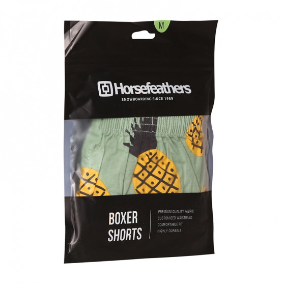 Shorts för män Horsefeathers Manny Pineapple (AM167C)