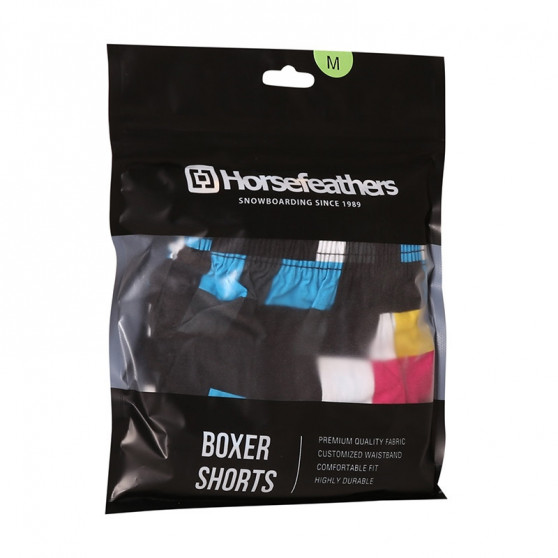 boxershorts för herrar Horsefeathers Manny Cmyk check (AM167D)