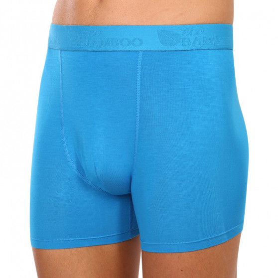 Boxershorts för herrar Gino blå (74160-DxA)