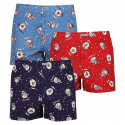 3PACKBoxershorts för herrar Andrie flerfärgad (PS 5683)