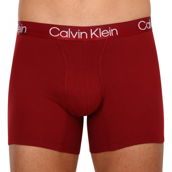 3PACK Boxershorts för herrar Calvin Klein multicolour (NB2971A-6IN)