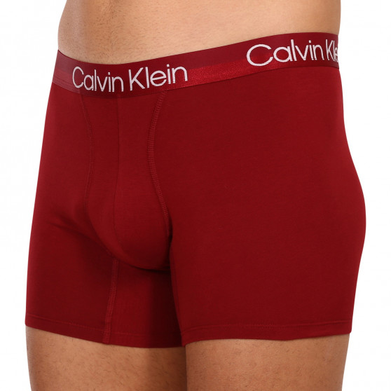 3PACK Boxershorts för herrar Calvin Klein multicolour (NB2971A-6IN)