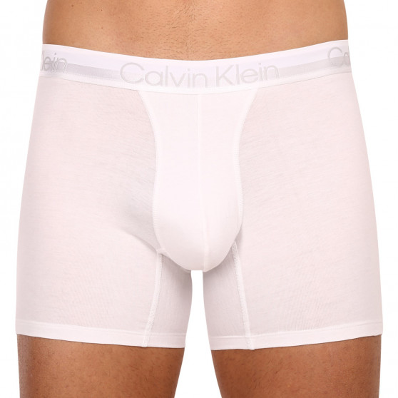 3PACK Boxershorts för herrar Calvin Klein multicolour (NB2971A-6IN)