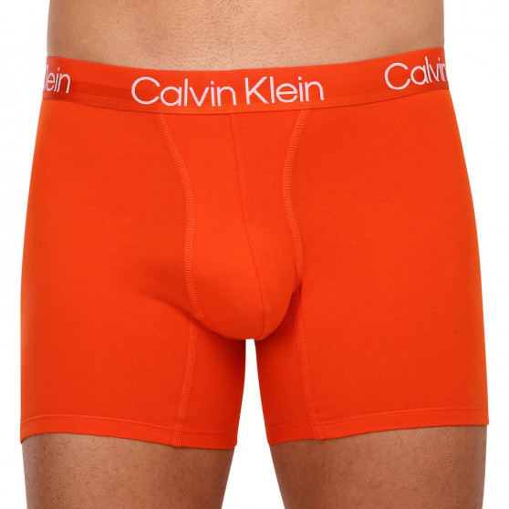 3PACK Boxershorts för herrar Calvin Klein multicolour (NB2971A-6IN)