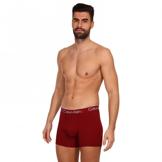 3PACK Boxershorts för herrar Calvin Klein multicolour (NB2971A-6IN)