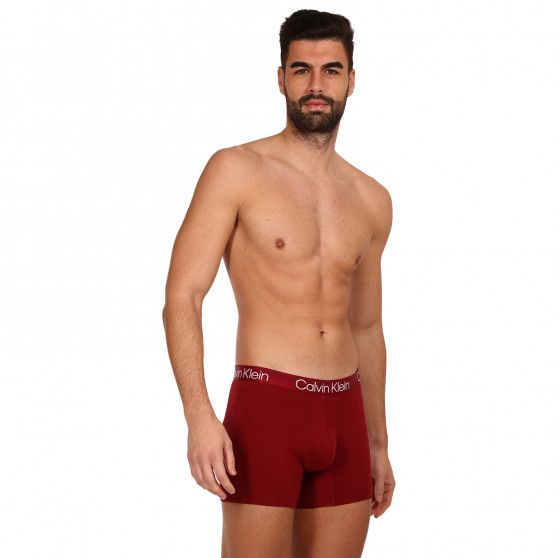 3PACK Boxershorts för herrar Calvin Klein multicolour (NB2971A-6IN)