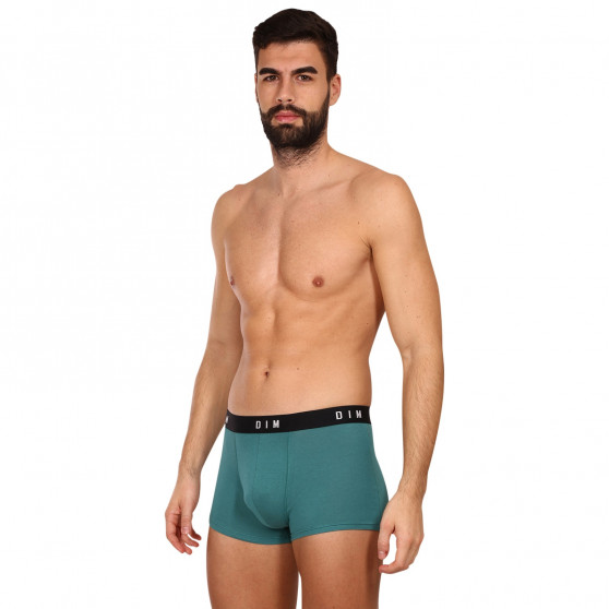 2PACK Boxershorts för herrar DIM multicolour (DI000ARL-9UW)