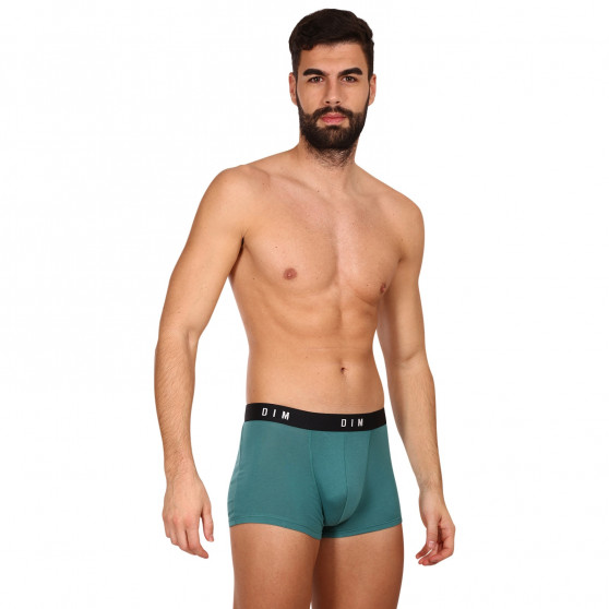 2PACK Boxershorts för herrar DIM multicolour (DI000ARL-9UW)