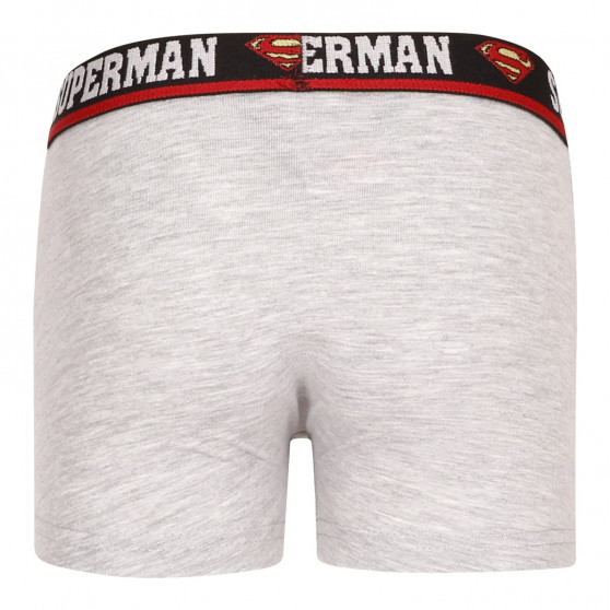 2PACK boxershorts för pojkar E plus M Superman multicolour (52 33 239/296)