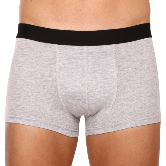 2PACK Boxershorts för herrar Molvy grå (MP-1071-BEU)