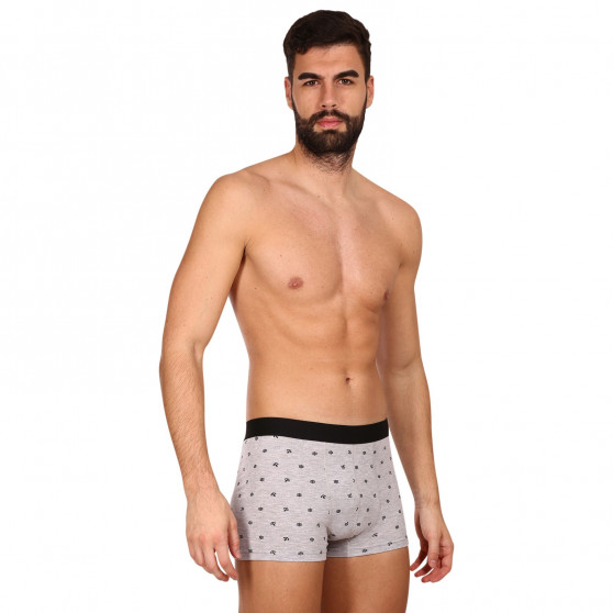 2PACK Boxershorts för herrar Molvy grå (MP-1071-BEU)