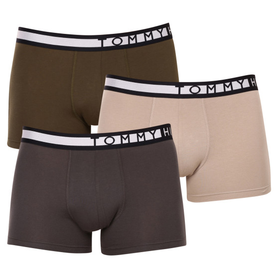 3PACK Boxershorts för herrar Tommy Hilfiger multicolour (UM0UM02202 0UM)