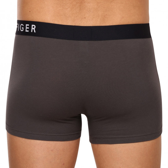 3PACK Boxershorts för herrar Tommy Hilfiger multicolour (UM0UM02202 0UM)