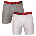 2PACK Boxershorts för herrar Under Armour grå (1363619 011)