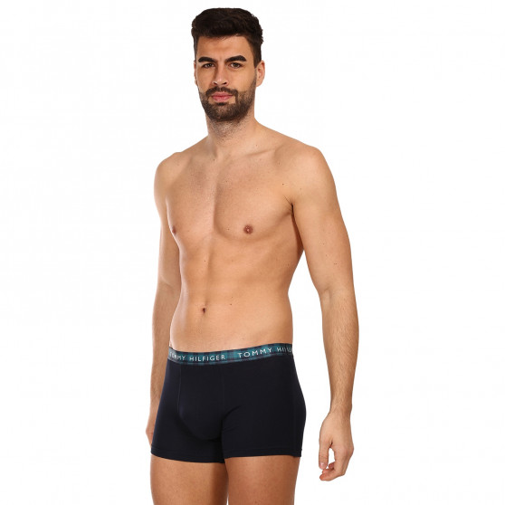 3PACK Boxershorts för herrar Tommy Hilfiger multicolour (UM0UM02702 0TT)