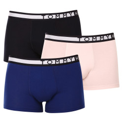 3PACK Boxershorts för herrar Tommy Hilfiger multicolour (UM0UM02202 0TW)