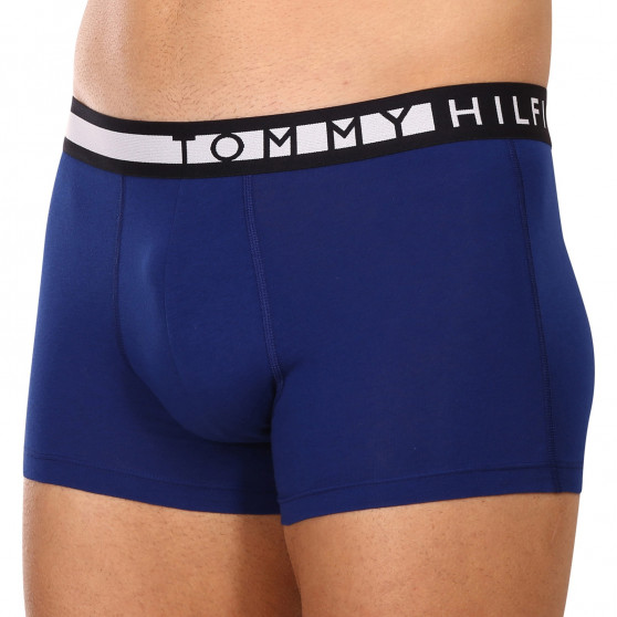 3PACK Boxershorts för herrar Tommy Hilfiger multicolour (UM0UM02202 0TW)