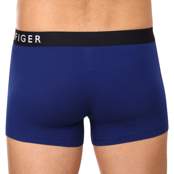 3PACK Boxershorts för herrar Tommy Hilfiger multicolour (UM0UM02202 0TW)