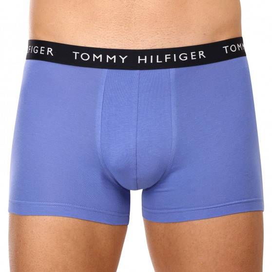 3PACK Boxershorts för herrar Tommy Hilfiger multicolour (UM0UM02203 0V1)