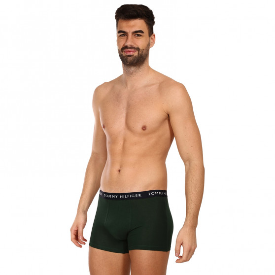 3PACK Boxershorts för herrar Tommy Hilfiger multicolour (UM0UM02203 0V1)