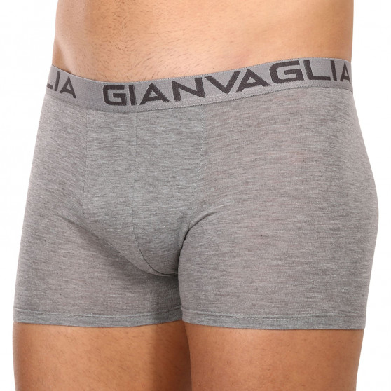 10PACK Boxershorts för herrar Gianvaglia multicolour (023)