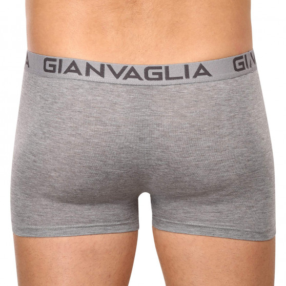 10PACK Boxershorts för herrar Gianvaglia multicolour (023)