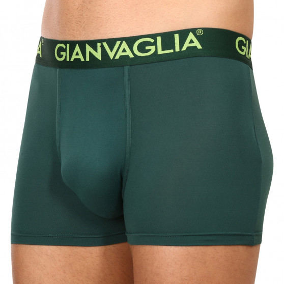 5PACK Boxershorts för herrar Gianvaglia multicolour (GVG-5006)