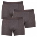 3PACK Boxershorts för herrar Levis grå (905045001 007)