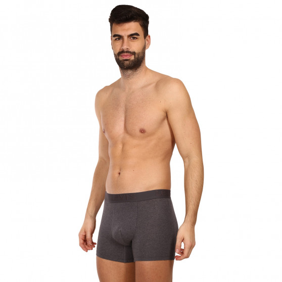 3PACK Boxershorts för herrar Levis grå (905045001 007)