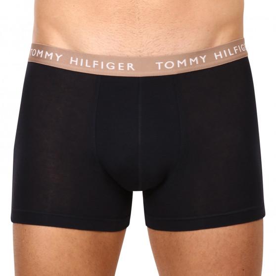 3PACK Boxershorts för herrar Tommy Hilfiger mörkblå (UM0UM02324 0V1)