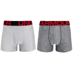 2PACK Boxershorts för herrar Under Armour oversized grå (1363618 011)