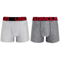 2PACK Boxershorts för herrar Under Armour oversized grå (1363618 011)