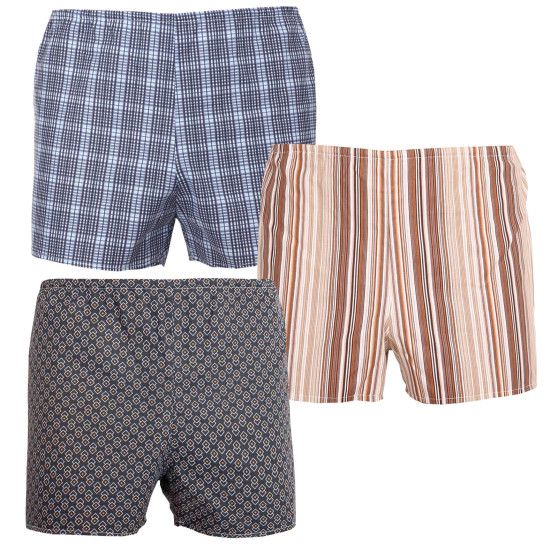 3PACKBoxershorts för herrar  flerfärgad Foltýn