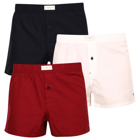 3PACKBoxershorts för herrar Tommy Hilfiger flerfärgad (UM0UM02848 0WE)