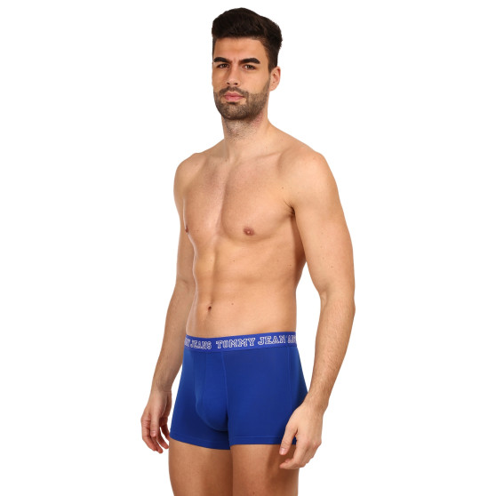 3PACK Boxershorts för herrar Tommy Hilfiger multicolour (UM0UM02850 0T8)