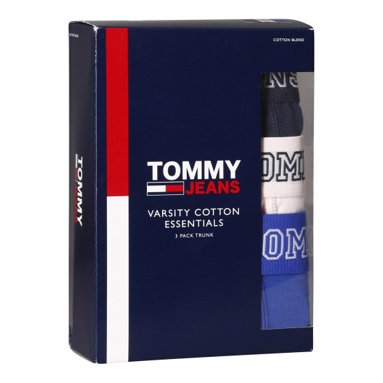 3PACK Boxershorts för herrar Tommy Hilfiger multicolour (UM0UM02850 0T8)