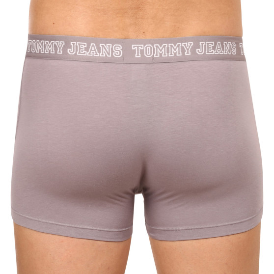 3PACK Boxershorts för herrar Tommy Hilfiger multicolour (UM0UM02850 0T9)