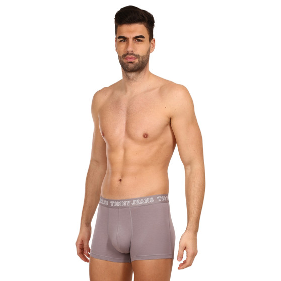 3PACK Boxershorts för herrar Tommy Hilfiger multicolour (UM0UM02850 0T9)