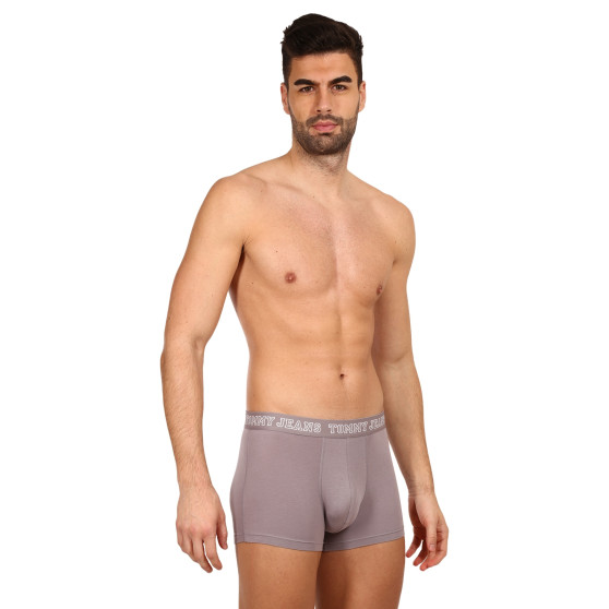 3PACK Boxershorts för herrar Tommy Hilfiger multicolour (UM0UM02850 0T9)